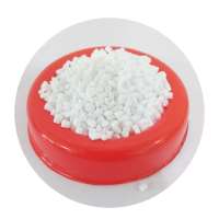 Plastic Raw Material Pet Resin Pellets